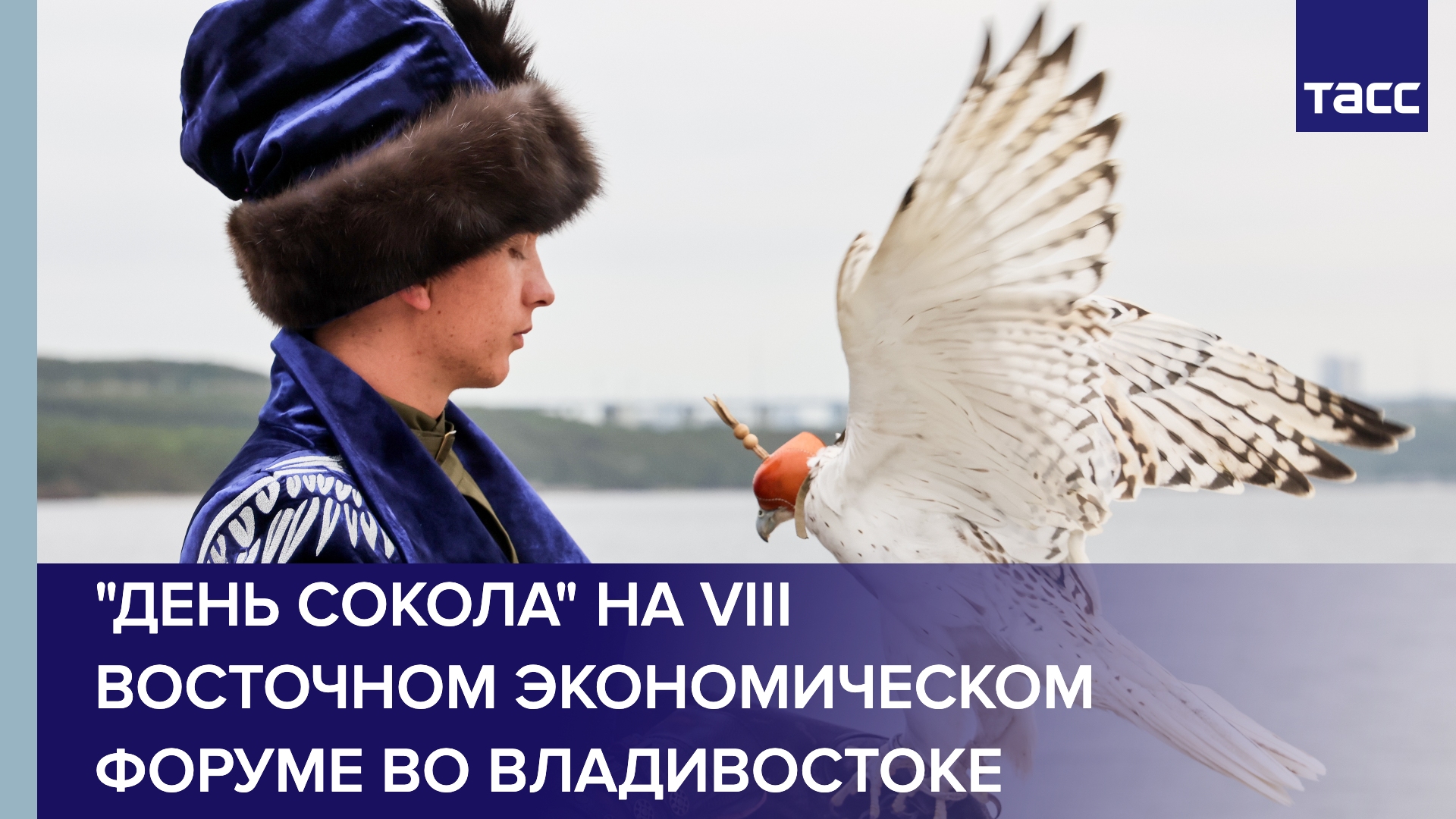Международный форум «День сокола» в г. Владивостоке